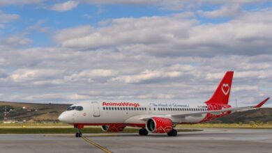 animawings-retrage-zborurile-directe-cluj–viena-si-cluj–frankfurt-dupa-doar-doua-luni-si-jumatate