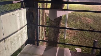 foto:-vandalism-in-parcul-tineretului-din-ludus