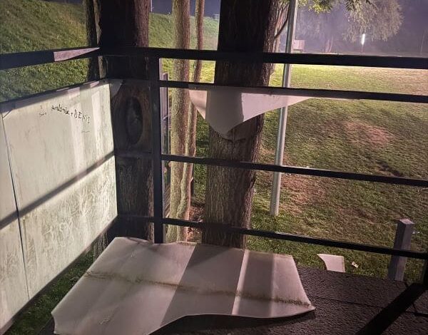 foto:-vandalism-in-parcul-tineretului-din-ludus