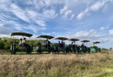 campia-transilvaniei-a-devenit-oficial-gazda-unei-premiere-nationale-absolute-prin-inaugurarea-velorail