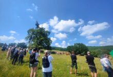 ”colinele-civice”,-un-nou-proiect-derulat-in-saschiz