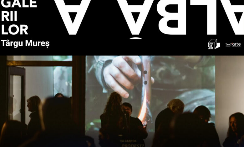 noaptea-alba-a-galeriilor-revine-la-targu-mures:-doua-decenii-de-arta-contemporana-si-un-program-efervescent-la-editia-jubiliara!