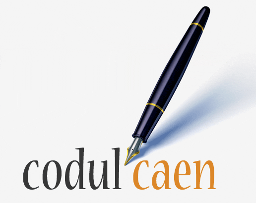 termenul-pentru-actualizarea-codurilor-caen,-prelungit-pana-in-martie-2027