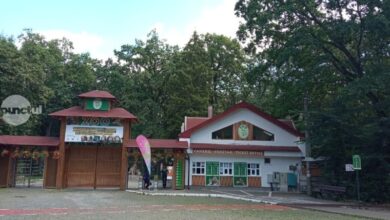 scumpiri-la-gradina-zoo,-dar-nu-si-la-biletul-de-intrare,-de-frica-gestionarii-banilor 