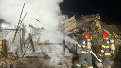 incendiu-la-o-anexa-gospodareasca-in-sanmihai-de-padure