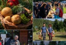 weekendul-ciupercilor-la-piricske:-doua-zile-dedicate-naturii-si-gastronomiei