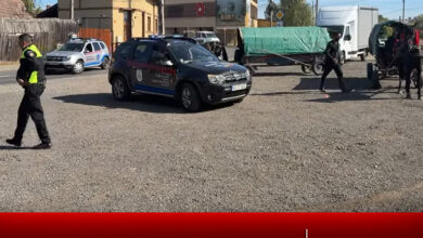 politia-locala-targu-mures-a-luat-masuri-ferme-impotriva-accesului-neautorizat-cu-vehicule-cu-tractiune-animala-in-oras!