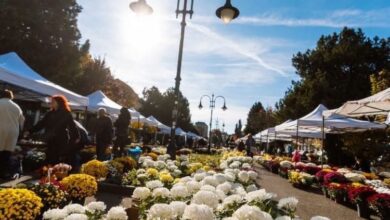 targ-al-producatorilor-de-flori,-la-targu-mures