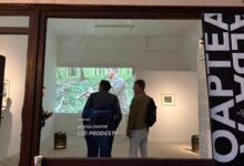 noaptea-alba-a-galeriilor-la-targu-mures.-galeriile-targumuresene-au-fost-intesate-de-iubitorii-de-arta