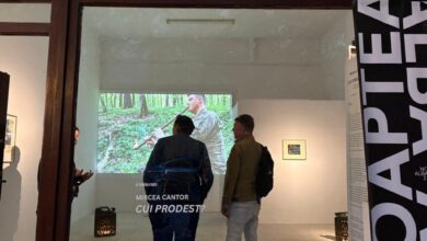 noaptea-alba-a-galeriilor-la-targu-mures.-galeriile-targumuresene-au-fost-intesate-de-iubitorii-de-arta
