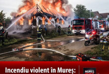 incendiu-violent-la-o-locuinta-din-localitatea-bozeni:-pompierii-au-intervenit-de-urgenta!
