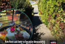 de-ce-hanul-dealul-nadesului-este-o-locatie-deosebita-cu-ospitalitate-care-merita-descoperita!