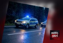 accident-rutier-intre-trei-sate-si-ghindari:-autoturism-avariat-dupa-ce-a-lovit-un-caprior!