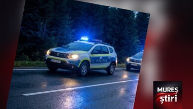 accident-rutier-intre-trei-sate-si-ghindari:-autoturism-avariat-dupa-ce-a-lovit-un-caprior!