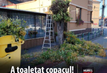 amenzi-uriase-pentru-depozitarea-ilegala-de-deseuri-si-arderea-resturilor-vegetale!