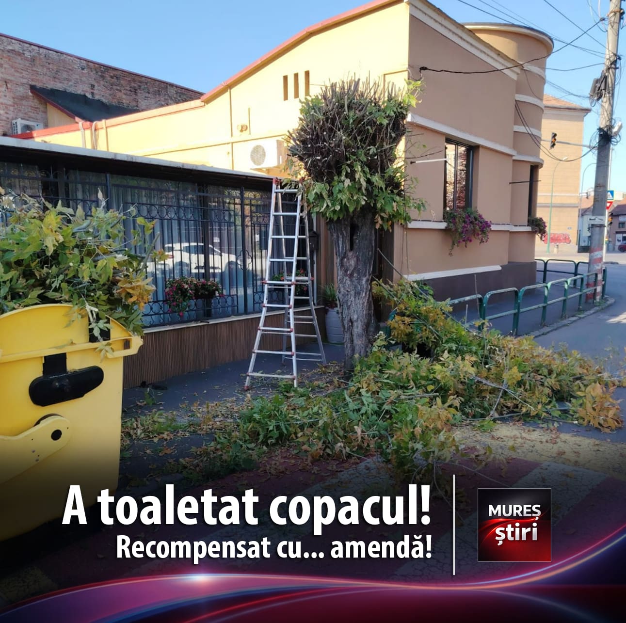amenzi-uriase-pentru-depozitarea-ilegala-de-deseuri-si-arderea-resturilor-vegetale!