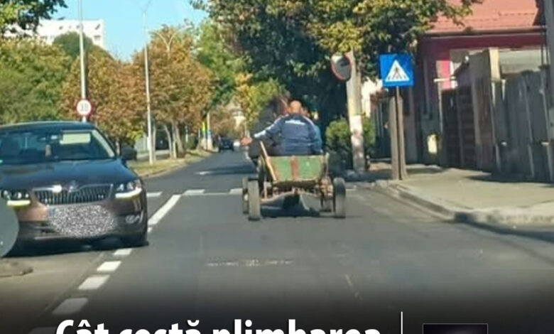 video:-cai-lasati-liberi-pe-malul-muresului-si-atelaje-sanctionate-in-trafic!