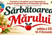 sarbatoarea-marului-de-la-batos,-la-editia-xxiii