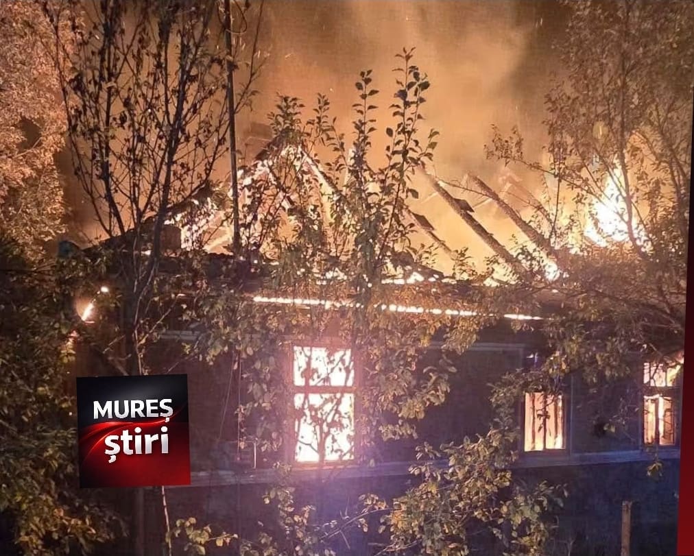incendiu-devastator-la-dumbrava:-o-casa-de-90-mp-a-fost-inghitita-de-flacari!