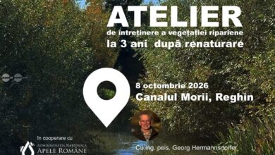 canalul-morii-din-reghin,-primul-proiect-de-renaturare-a-unui-curs-de-apa-urban-din-romania.-atelier-cu-un-specialist-din-germania