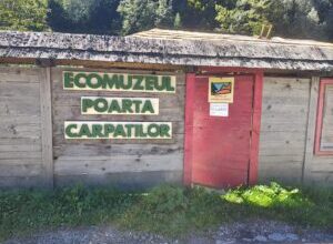 centrul-de-ecologie-montana-deschide-in-moieciu-de-sus-un-ecomuzeu-pentru-comunitatile-bran-moieciu-fundata