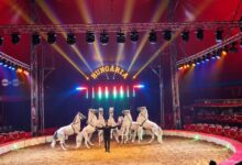 un-numar-premiat-la-festivalul-international-de-circ-de-la-budapesta,-prezentat-la-targu-mures