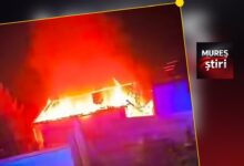 video:-incendiu-violent-la-o-casa-de-locuit-din-localitatea-glodeni,-judetul-mures!