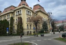 primaria-a-platit-12-amenzi-din-bani-publici-si-nu-a-cautat-niciodata-vinovatii