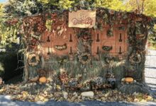„hello-october”,-in-parcul-central-din-reghin