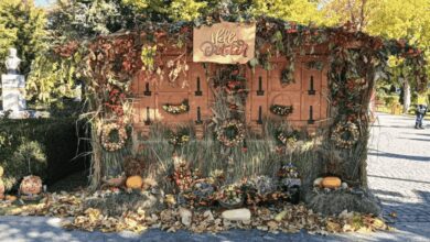 „hello-october”,-in-parcul-central-din-reghin