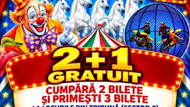 hungaria-nagycirkusz-continua-spectacolele-la-targu-mures.-numere-spectaculoase-cu-cai-arabi,-motociclete-si-„roata-mortii”