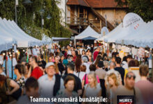 toamna-se-numara-bunatatile:-targul-cetatii-isi-deschide-portile-pe-bulevardul-cetatii-din-targu-mures!