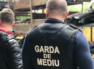 amenzi-de-peste-1,7-milioane-de-lei-date-de-garda-de-mediu-harghita-in-aceast-an