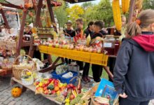 a-inceput-„hello-october”,-in-parcul-central-din-reghin