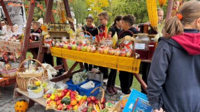a-inceput-„hello-october”,-in-parcul-central-din-reghin