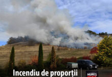 incendiu-de-vegetatie-si-padure-in-sancraiu-de-mures:-pompierii-intervin-in-forta!