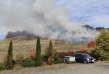 incendiu-de-vegetatie-uscata-si-padure,-in-sancraiu-de-mures