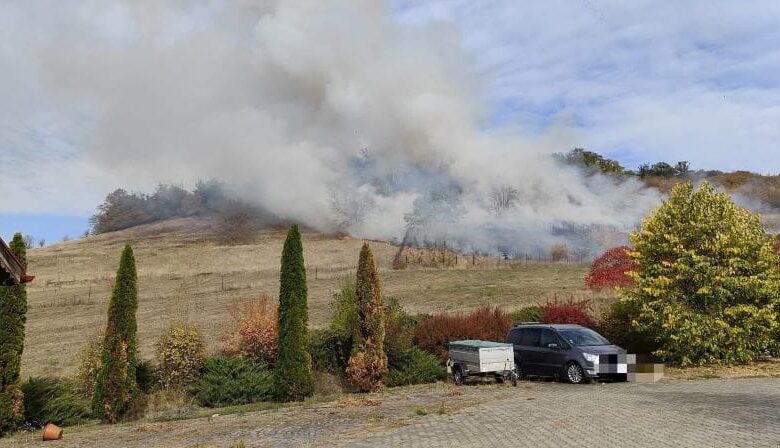 incendiu-de-vegetatie-uscata-si-padure,-in-sancraiu-de-mures