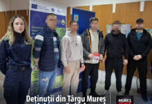 detinutii-din-targu-mures-isi-cauta-de-lucru:-pasi-concreti-spre-reintegrare-sociala-si-profesionala!