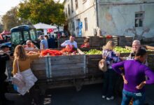 sarbatoarea-marului-de-la-batos,-la-cea-de-a-23-a-editie.-traditia-pomiculturii-continua-in-judetul-mures