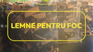 romsilva-pune-la-dispozitia-populatiei-aproximativ-2-milioane-de-metri-cubi-de-lemn-pentru-foc-in-2026,-la-preturi-similare-celor-de-anul-trecut