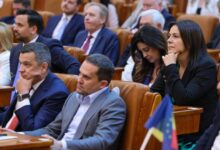 dumitrita-gliga:-psd-isi-asuma-responsabilitatea-intrarii-la-guvernare