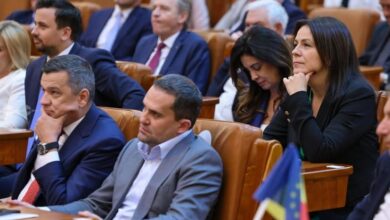 dumitrita-gliga:-psd-isi-asuma-responsabilitatea-intrarii-la-guvernare