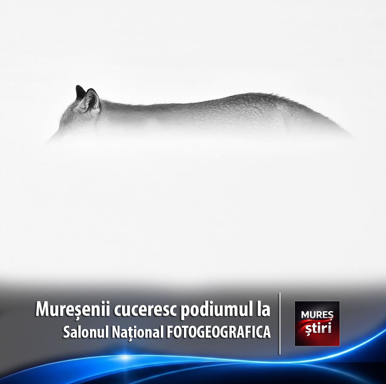 muresenii-cuceresc-podiumul-la-editia-aniversara-xxx-a-salonului-national-fotogeografica!