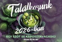 festivalul-verzei-de-la-lazarea-revine-in-acest-weekend.-trei-zile-de-targuri,-preparate-traditionale-si-spectacole