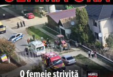 accident-grav-in-localitatea-bogata:-o-femeie-a-fost-ranita-dupa-ce-i-au-fost-prinse-picioarele-intre-utilaje!-a-fost-solicitat-elicopterul-smurd