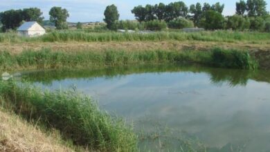 un-proiect-din-satul-viscri,-premiat-de-comisia-europeana-pentru-o-solutie-inovatoare-de-tratare-a-apelor-uzate