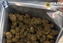 diicot-targu-mures,-captura-de-1,2-kilograme-de-droguri-in-bucuresti