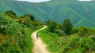nu-doar-via-transilvanica.-modelul-spaniol-camino-de-santiago-ar-putea-fi-o-oportunitate-pentru-turismul-din-mures