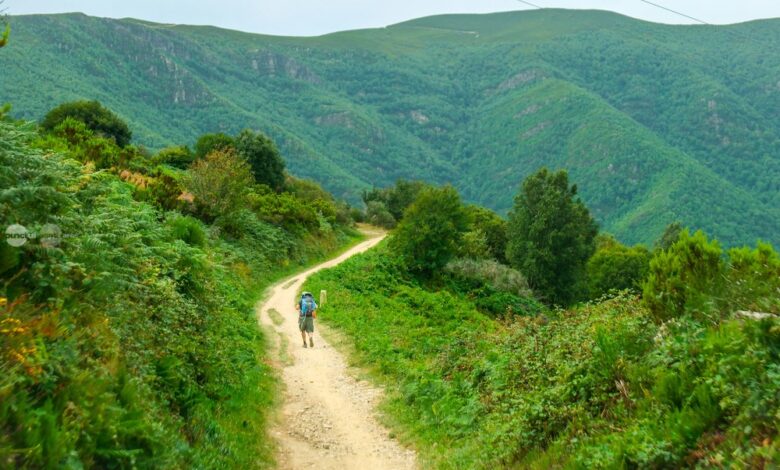 nu-doar-via-transilvanica.-modelul-spaniol-camino-de-santiago-ar-putea-fi-o-oportunitate-pentru-turismul-din-mures